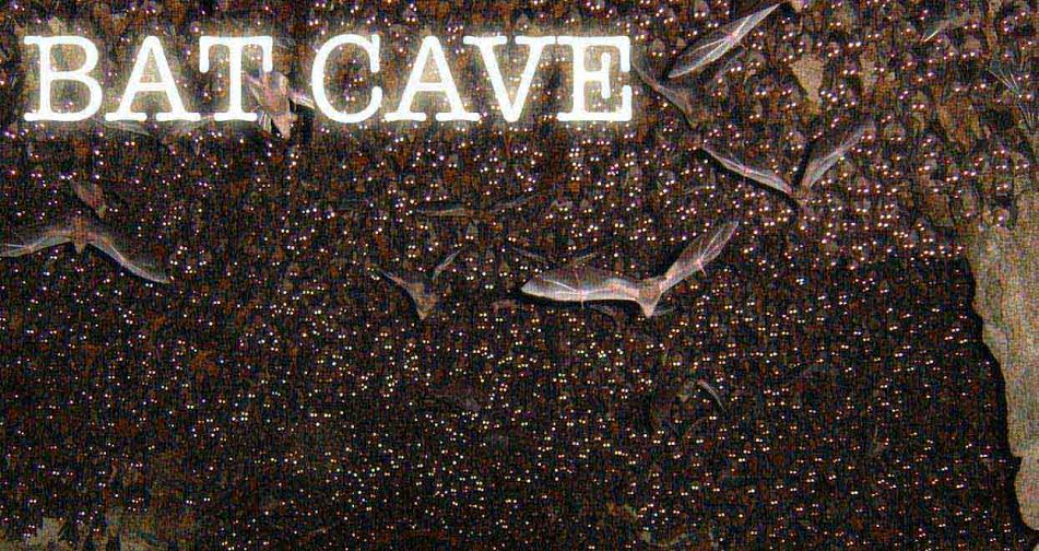 Bat Cave